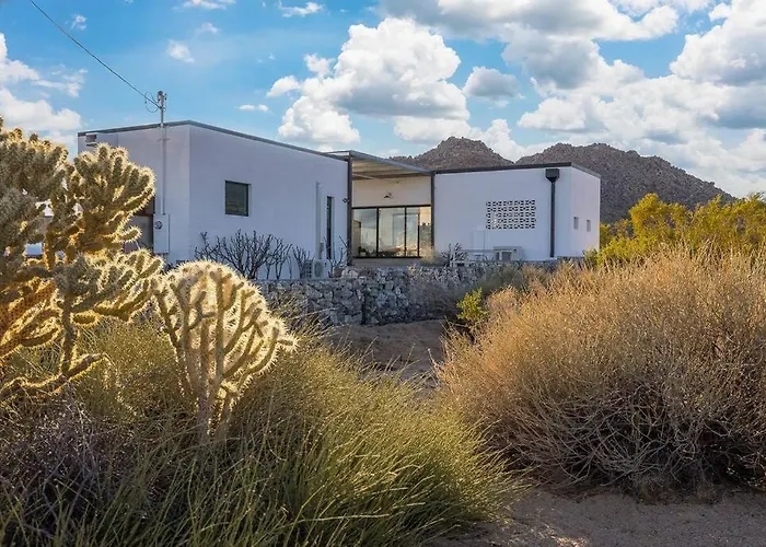 Neutra Home Joshua Tree Luxury Retreat Pool And Spa
